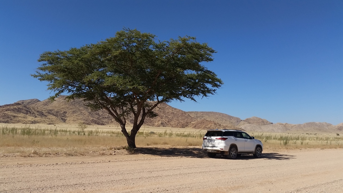 Namibia: on the C14 north of Solitaire – only tree within 100 km