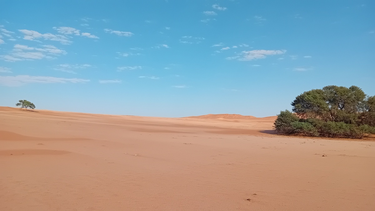 Namibia: Namib – Gobabeb (desert research station)