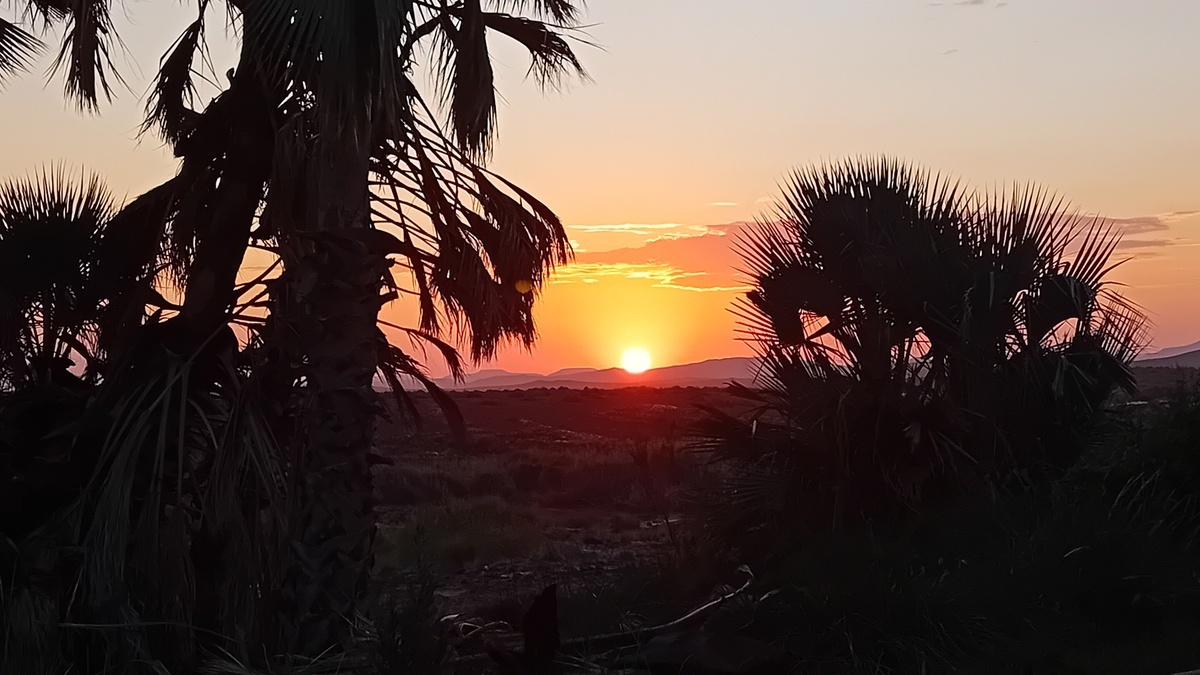Namibia: Palmwag