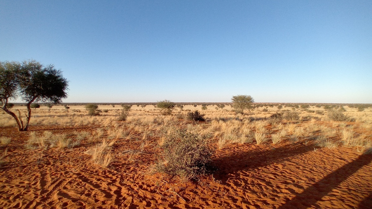 Namibia: Kalahari in 'Kuzikus'