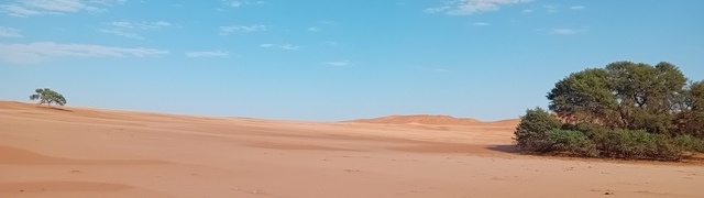 Namibia: Namib – Gobabeb (desert research station)