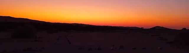 Namibia: Namib – Gobabeb (desert research station)