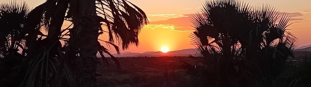 Namibia: Palmwag